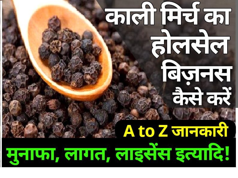 Black pepper Wholesale business in Hindi